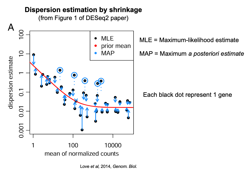 DEseq2 dispersion estimation